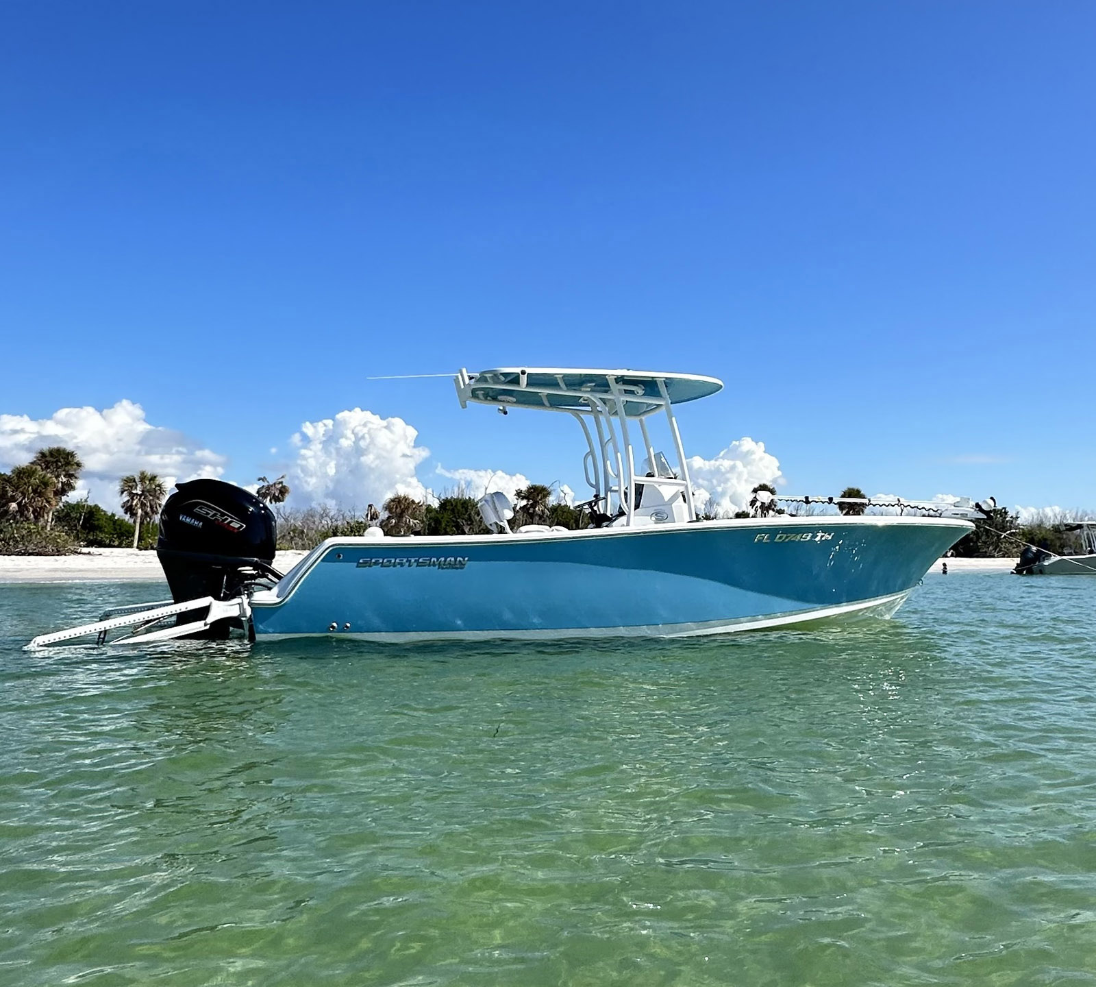 Saltwater Dreaming Charters Reviews